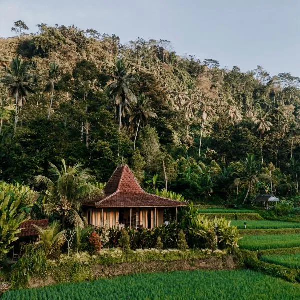 Ravelyn House, hotel in Silebeng