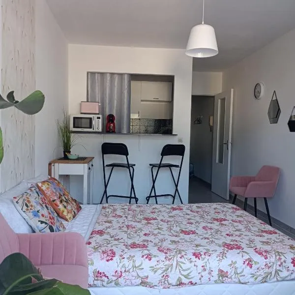 studio avec terrase, hotel en Niza