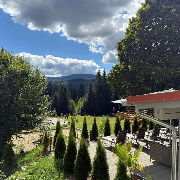 Maiers Hotel, hotel in Bayerisch Eisenstein