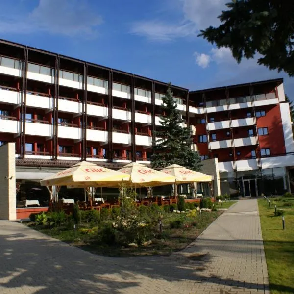Hotel Carpați, хотел в Предеал