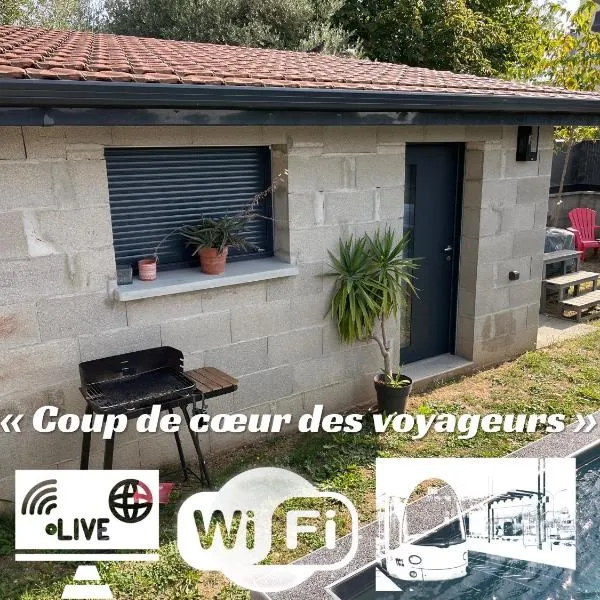 Chez Annick, studio proche tram, Groupama Stadium, LDLC Arena, hotel in Décines-Charpieu