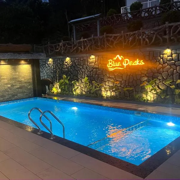Blue Peaks Holidays Swimming Pool Cottage Munnar, hotel in Munnar
