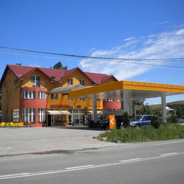 Motel Dalia, hotel di Viştea