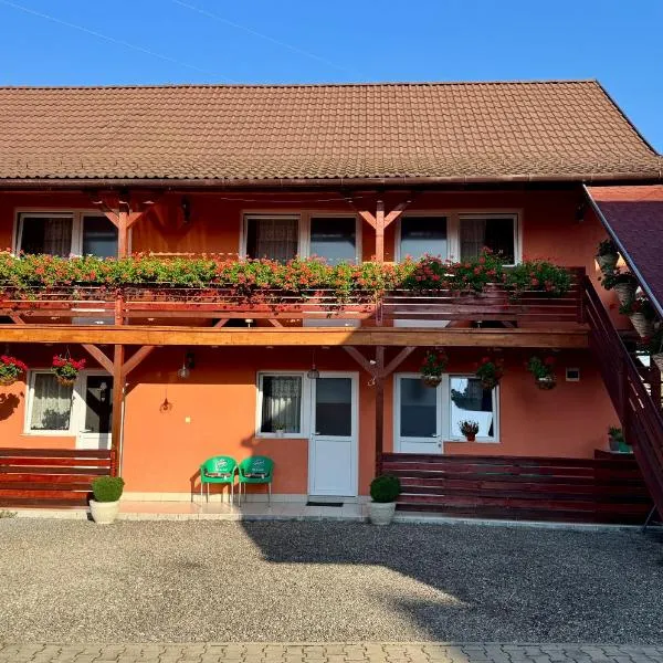 Casa Gabriela, hotel in Sovata