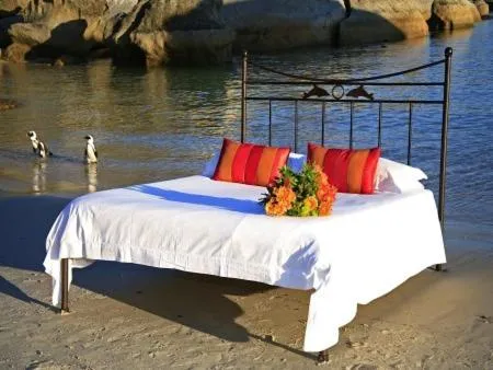Boulders Beach Hotel, Cafe and Curio shop, hotel in Simonʼs Town