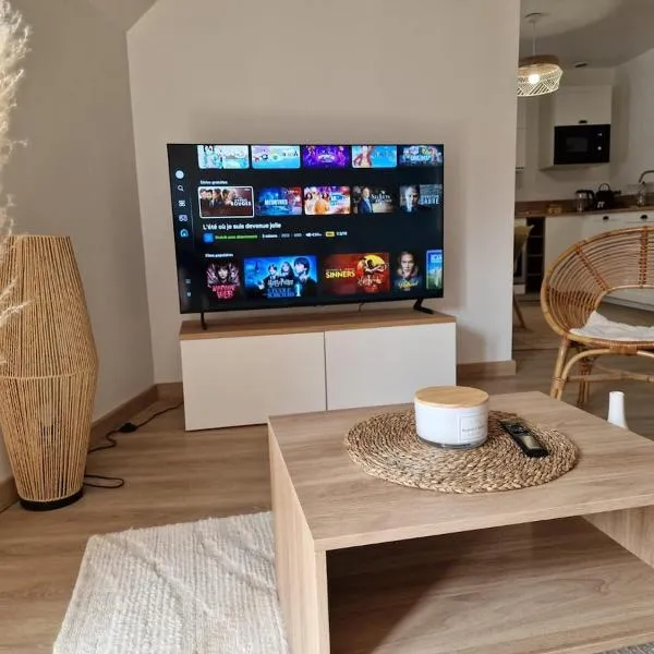 Appartement T3- Centre-ville, hotel in Saint-Pourçain-sur-Sioule