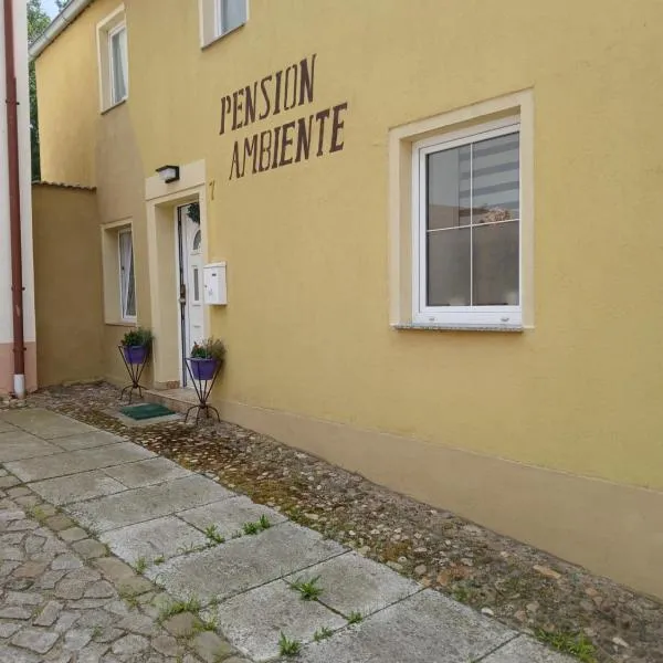 Pension Ambiente, hotel in Mühlberg