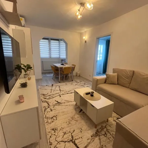 Kali Apartment near Center，蒂米什瓦拉的飯店