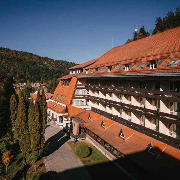 Hotel Ciucas, hotel in Băile Tuşnad