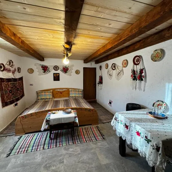 Casa Radu - Zece Hotare, hotel v destinaci Zece Hotare