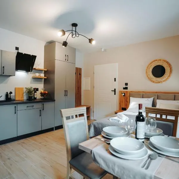 Althea Ustrzyki Apartments, hotel in Ustrzyki Dolne