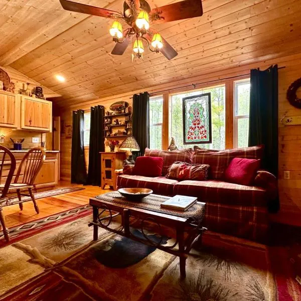 Little Bear Tiny Cabin, hotel in Cosby