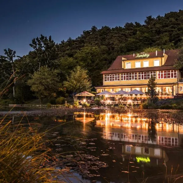 Penzion Benatky, hotel u gradu 'Jalšové'