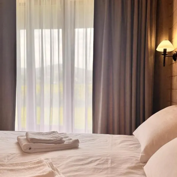 Apartamenty Lisovychok, готель у Річці