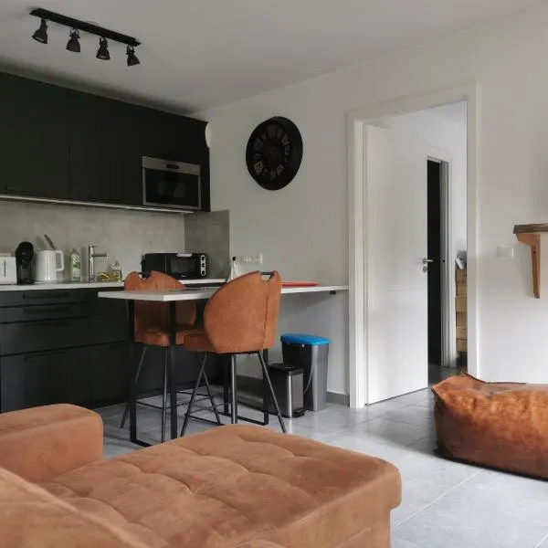 Appartement chaleureux à Haguenau, hotelli kohteessa Haguenau