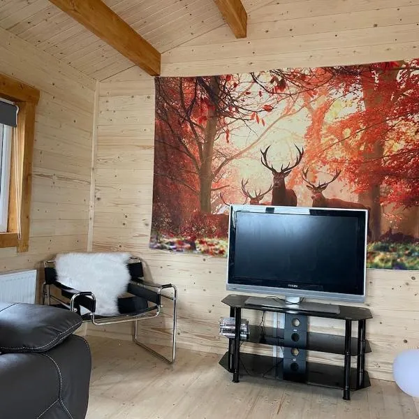Log Cabin with Hot Tub Large Patio Near Cork city, hotel en Cork