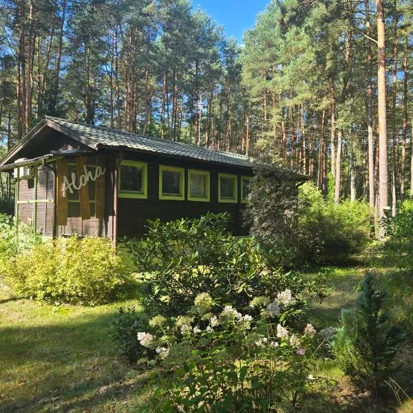 Aloha Summer Cottage, hotel in Łaziska