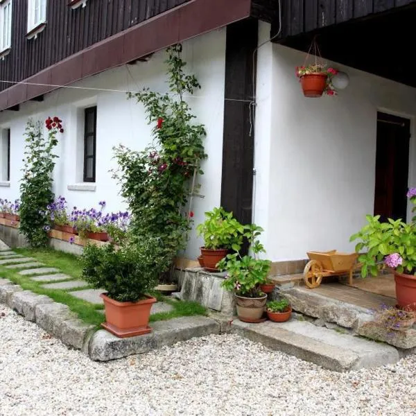 Penzion D'Artagnan, hotel em Kořenov