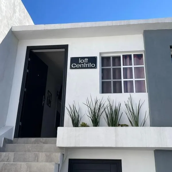 loft centrito, hotel v destinaci Saltillo