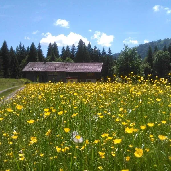 Alpe Leckenholz: Hittisau şehrinde bir otel