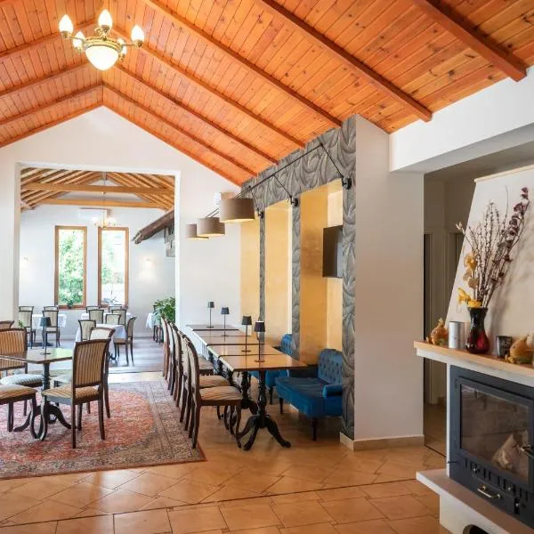 Boutique Hotel LuDo, hotel in Makó