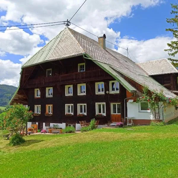 Echtes Schwarzwaldhaus - Traditionell & Modern, hotel in Bernau im Schwarzwald