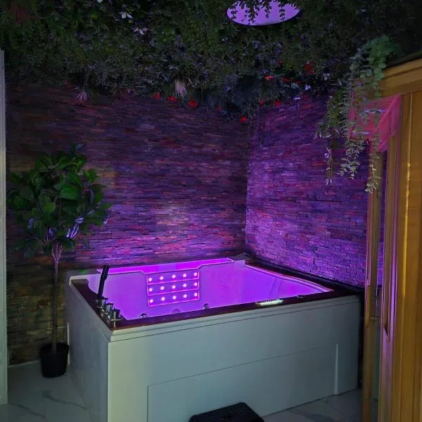 Appartement Spa et Sauna privatif - Terrasse, hotel em Carcassone