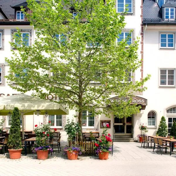Hotel Weisses Ross, hotel in Memmingen