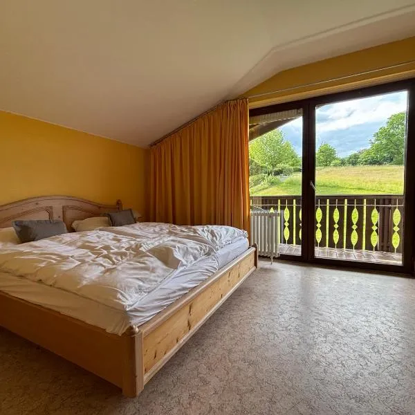 Simplex Stays Hotel Lauer, hotel in Bad Soden-Salmünster