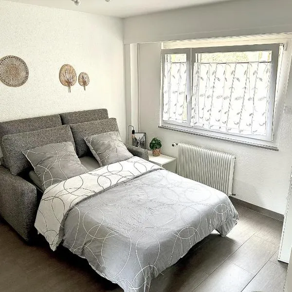 Studio Cosy Centre ville, hotel in Wissembourg