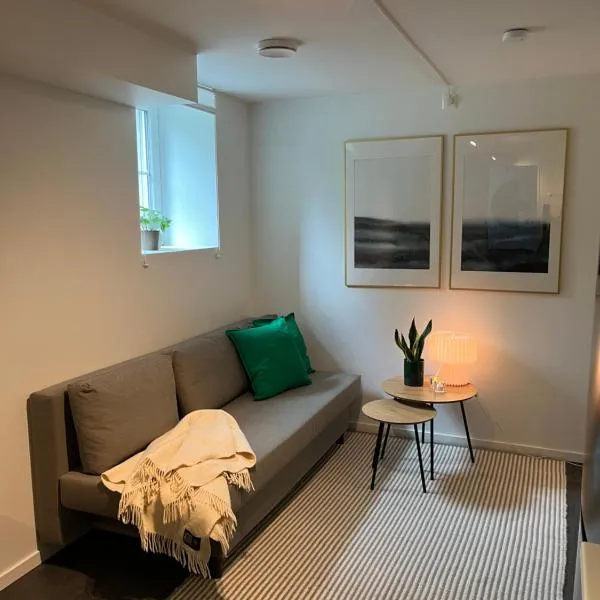 Newly renovated apartment close to city center, hotel in Oslo