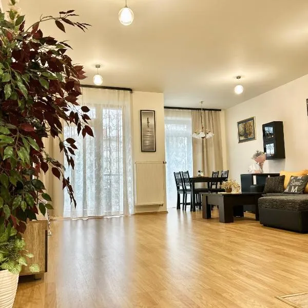 Apartmán v srdci Poděbrad 100m2, hotel in Poděbrady