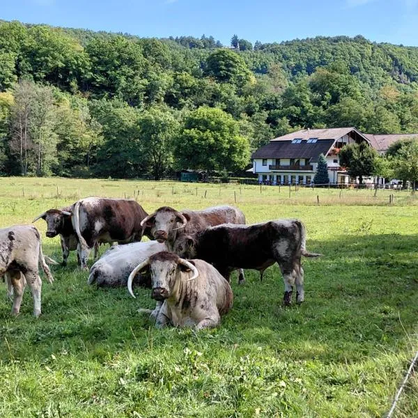 Gut Kallerbend, hotel di Nideggen