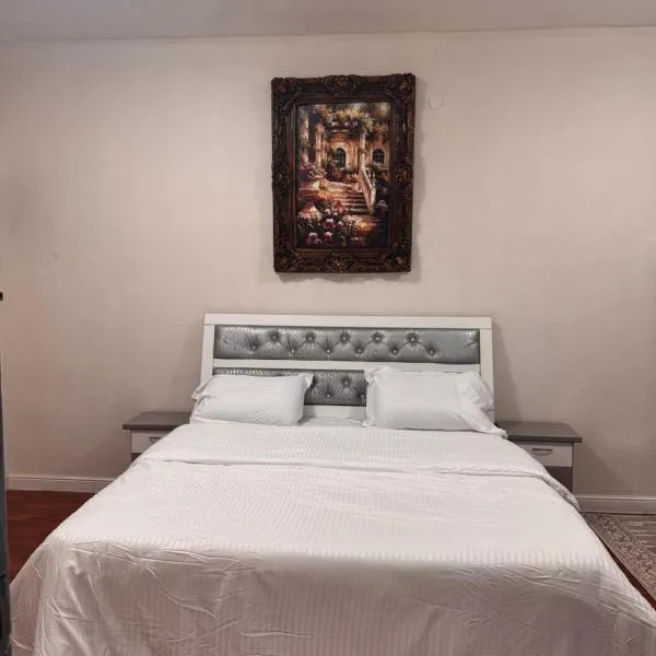 رفيف باريس نجد, hotel in Unayzah