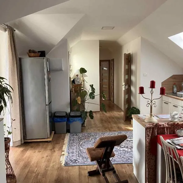 Tiché podkroví 4 km od Kroměříže, hotel in Skaštice