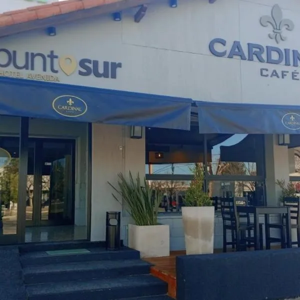 Hotel Punto Sur Avenida, hotel em Malargüe