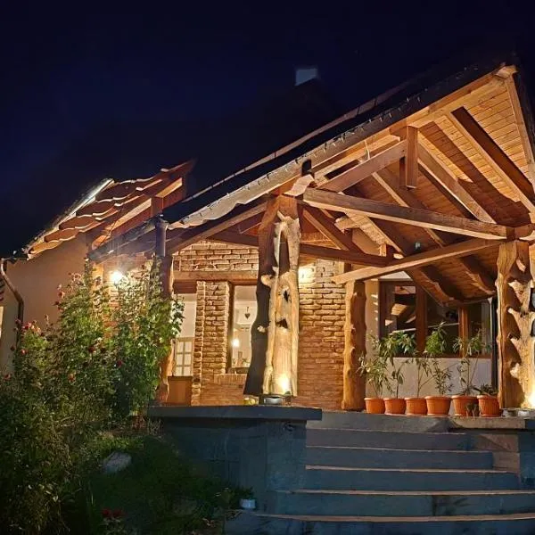 Rustic Dreams-Dobolii de Sus, hotel in Dobolii de Sus
