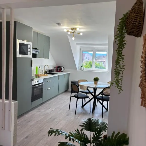 Le Col'Vert - Appartement 50m2 - Colmar Centre, hotel di Colmar