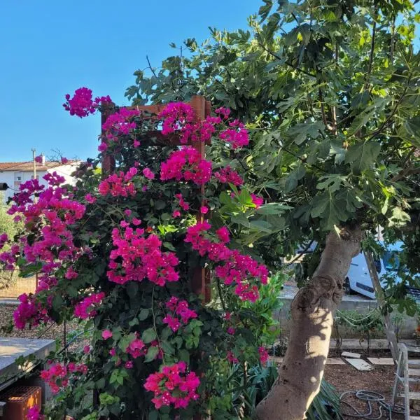 Harizma, hotel v Primoštenu