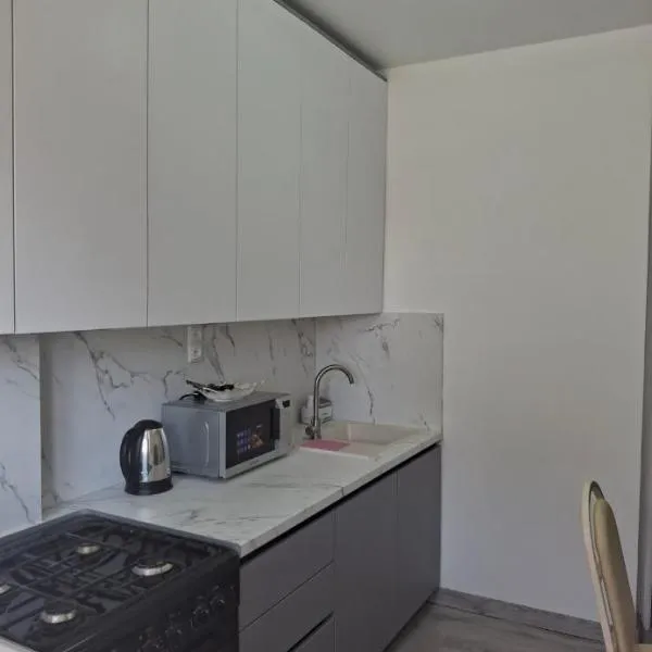 AeroHome Moldova- Taxi, hotel a Chişinău