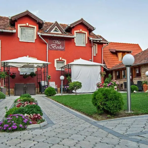 Vila Boska Palic, hotel in Palić