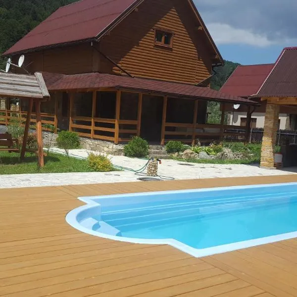 Guest House in Carpathians, hotel in Migovo