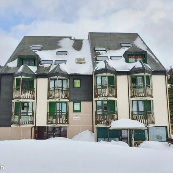 Lioran - Studio 4 personnes, hotel in Laveissière