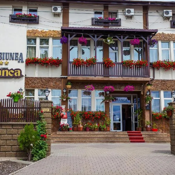 Pensiunea Bianca, hotel in Botoşani
