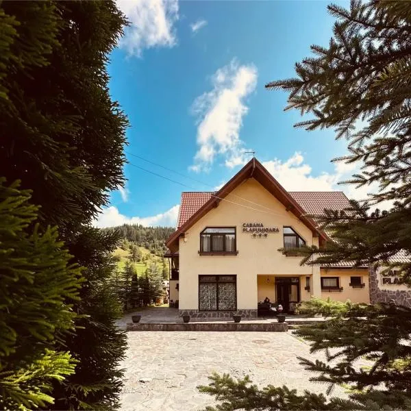 Cabana Plapumioara, hotel di Crucea