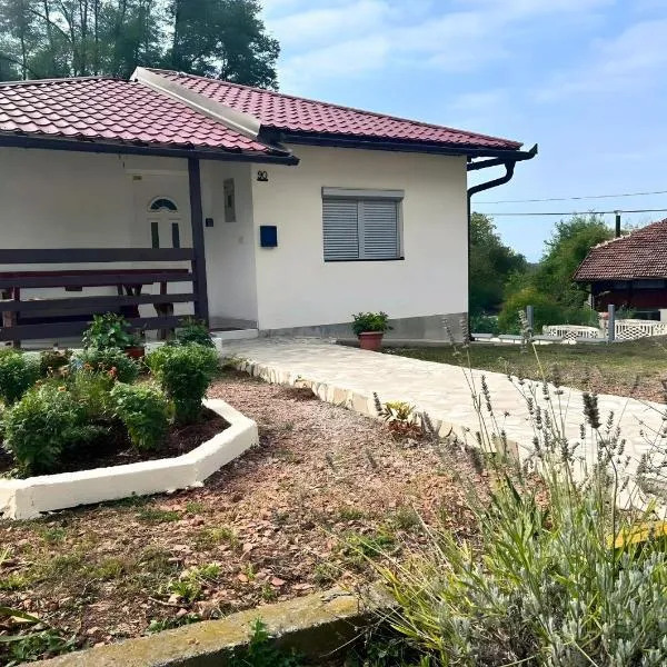Hilltop Family House Panoramic Views, hotel in Dobrnja