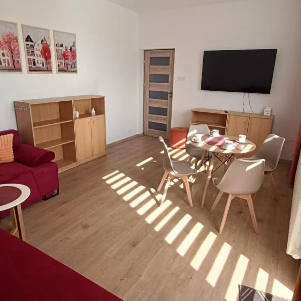 Cozy Duo, hotel v destinaci Zduńska Wola