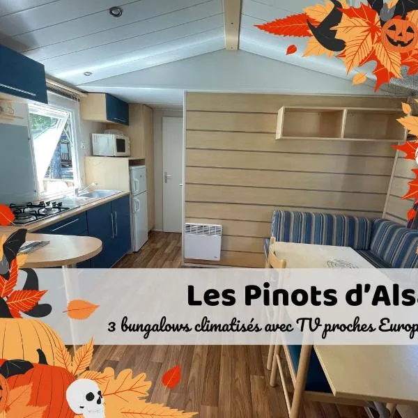 Les Pinots d'Alsace - 3 bungalows climatisés avec TV - Proche Europa Park, hotel em Boofzheim