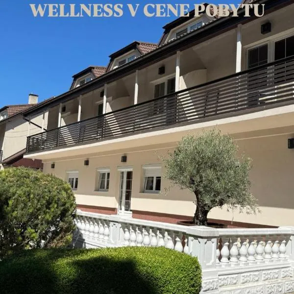 Penzión Odysea, hotel in Vinné