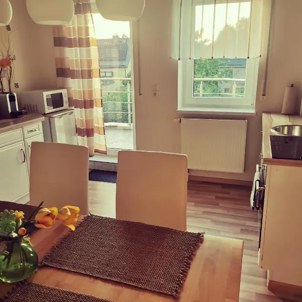 Schöne, helle, ruhige Wohnung und Wellness Sauna, hotel in Irbersdorf